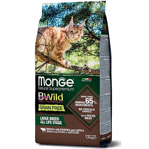 ���� ���� Bwild ��� ����� - ����� ����"�