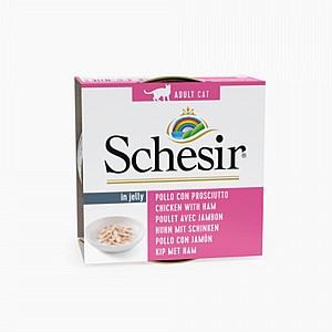 ������ ���� ���� ����