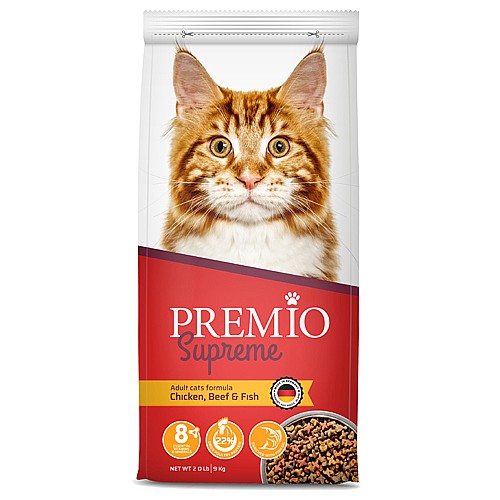 ���� ������ ����� - ����� �����