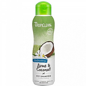 ���� �������� ������ �����