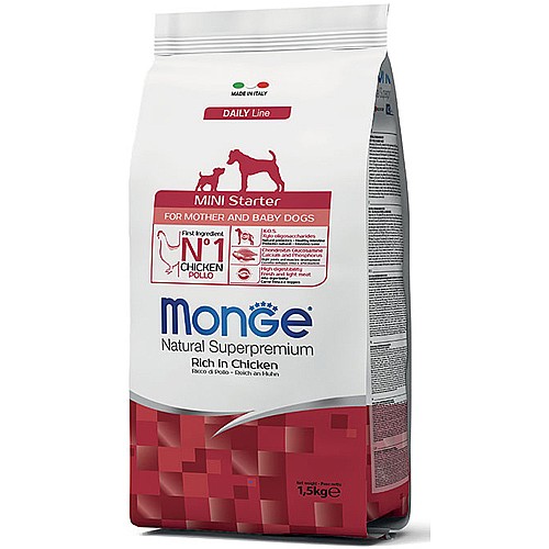 ���� ���� �����