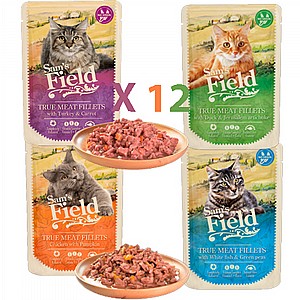 ����!!! 12 ����� ��� ���� ��� �����