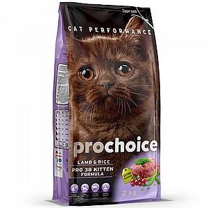 ����'���/prochoice ��� ����� ����� ������