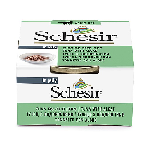 ������ ���� �����