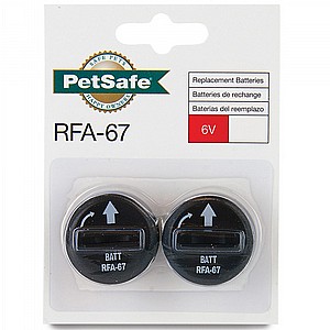 ������ ����� ������ ������