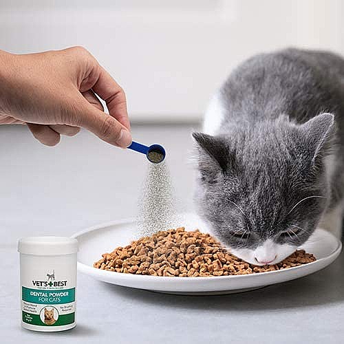 ��� ���/Vets Best ���� ������ �����