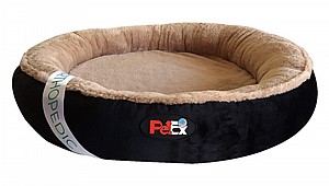 ���� ��������� ����� ���� ������