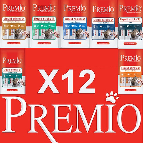 ���� 12 ����� ����� ������ �����
