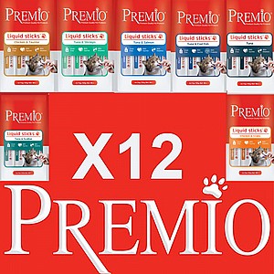 ���� 12 ����� ����� ������ �����