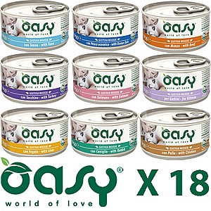  18  /OASY 