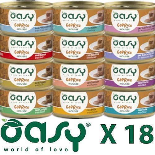 ���� 18 ����� �����/OASY �����