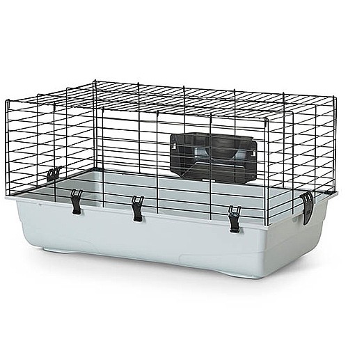 ���� ���� ������� 