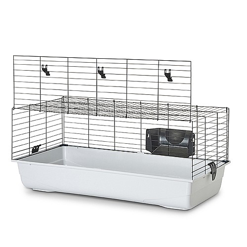 ���� ���� ������� 