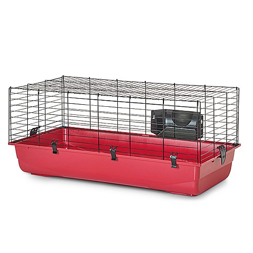 ���� ���� ������� 