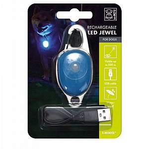 ��� ������ ����