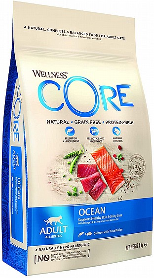 Wellness CORE - ����� ��� ���� ���� ������� ������ ����� �����