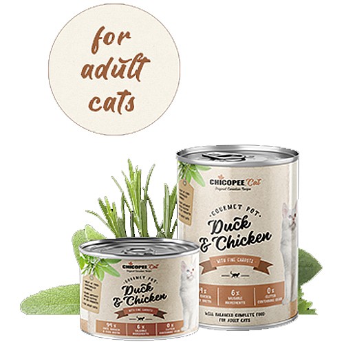 ������ ������ ����� ����� ����