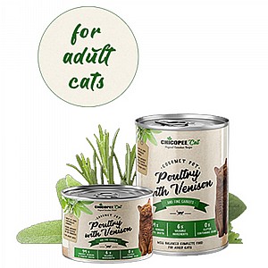 ������ ������ ����� ����� ����