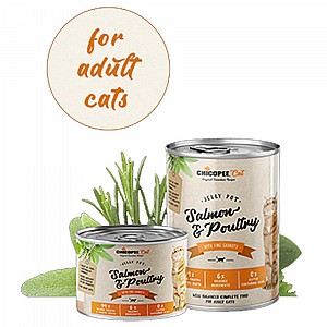 ������ ������ ����� ����� �����