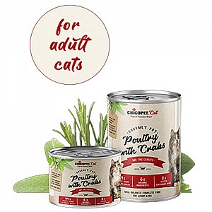 ������ ������ ����� ����� ����