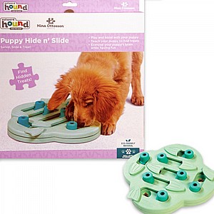 ���� ����� ��� ���� ����� ��� 2 ����