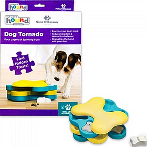 ���� ����� ��� ������ ��� 2