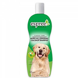 ���� ������ ����������