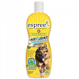 ���� ������ ����� �������