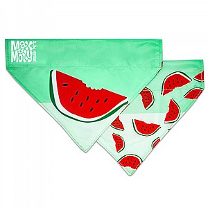 ���� ����� S ��� ��� ����/Max & Molly