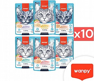 10 �����  ����/Wanpy ��� �����