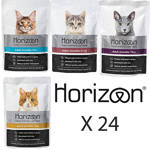 ���� ���� ������/Horizon ����� 