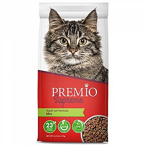 ���� ������ ����� ����