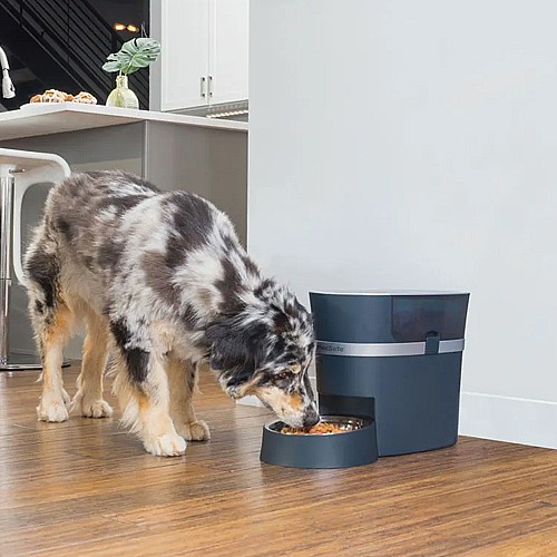 ����� ������� ������ ����� ���/Petsafe Smart Feed
