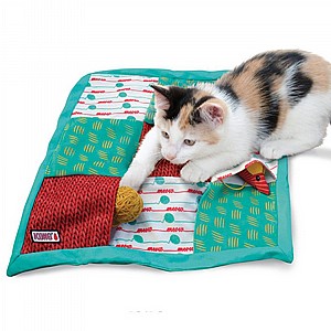 ���� ���� �� ����� �����