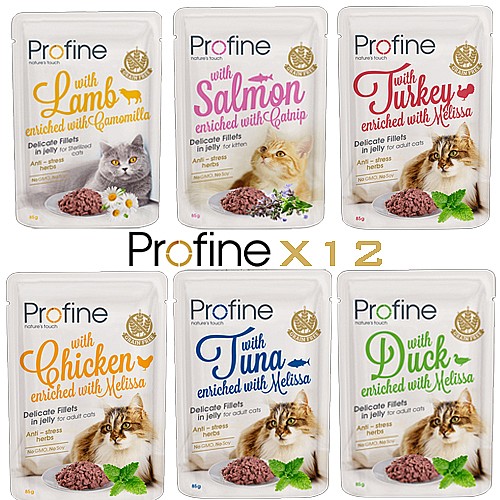 12 ����� �������/Profine  ����