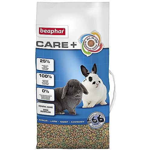 ����� ���� + ���� ��������� - ����� �����
