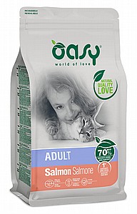 ����� ���� ���� �����