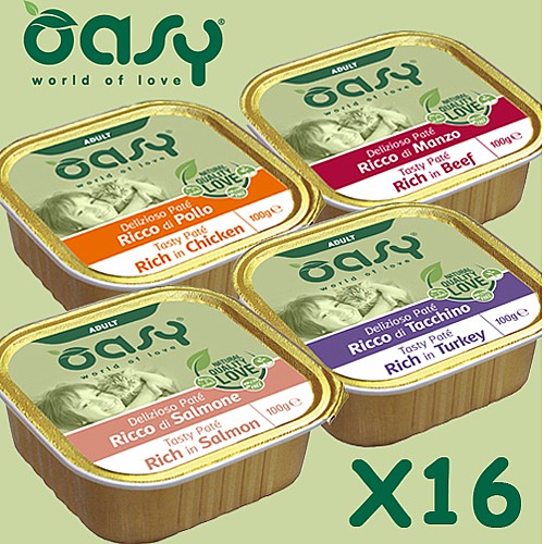 ����!!! 16 ����� �����/OASY ���