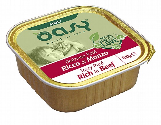 ���� ��� 100 ���