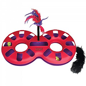 ���� ����� ���� �����