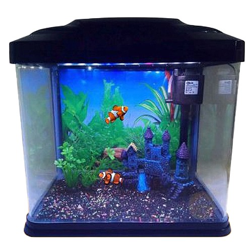 �������� ����� ���� B 226