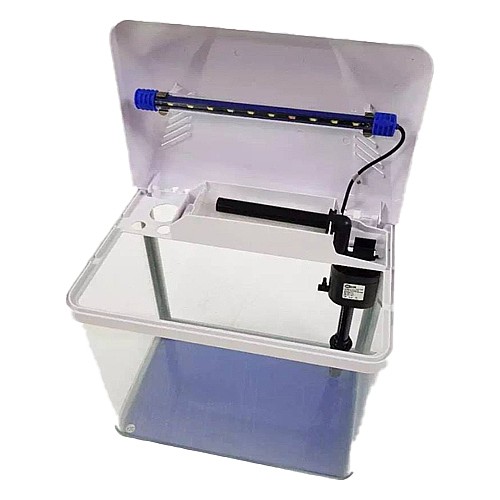 �������� ����� ���� B 226