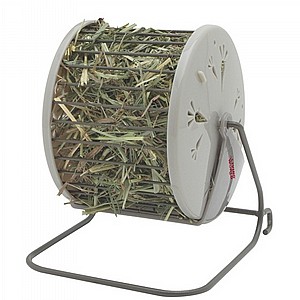 ������� ���� ��������