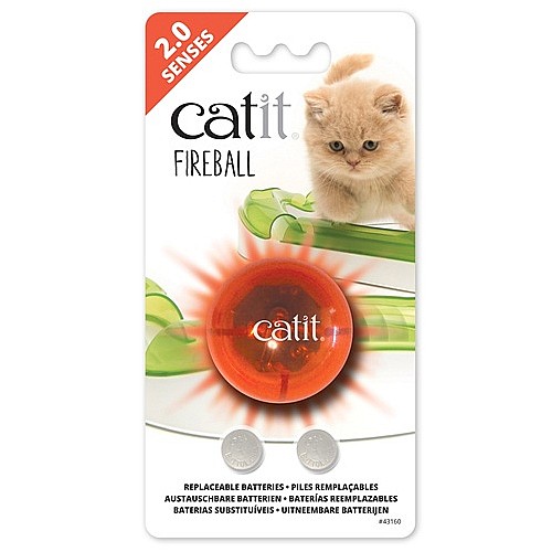 ���� �� ����� ������ catit 2.0