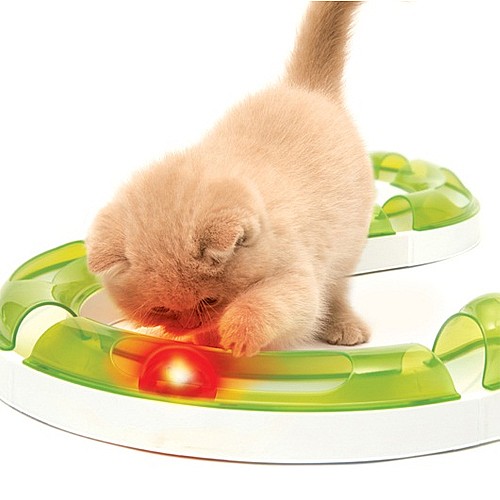 ���� �� ����� ������ catit 2.0