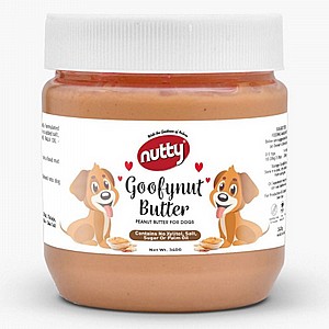 ���� ������ ������