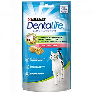 ���� ����� ����� ������� �����