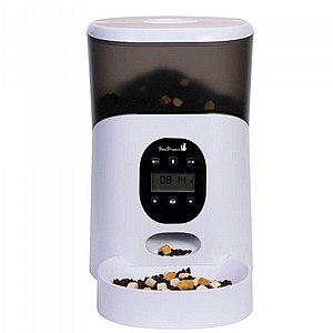 ����� ������� ��� 