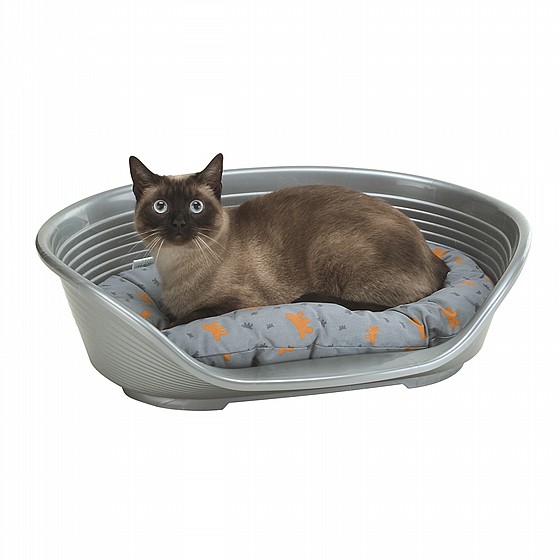 ���� ������