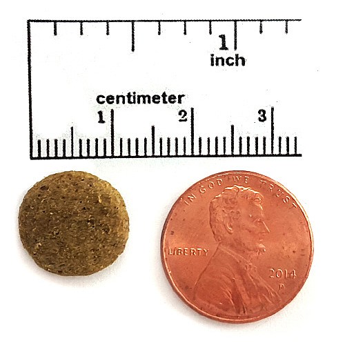 ���� ������/Canine Caviar ������ ���� ��� - ����� �����